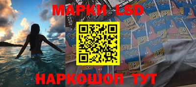 прущие грибы Пушкино