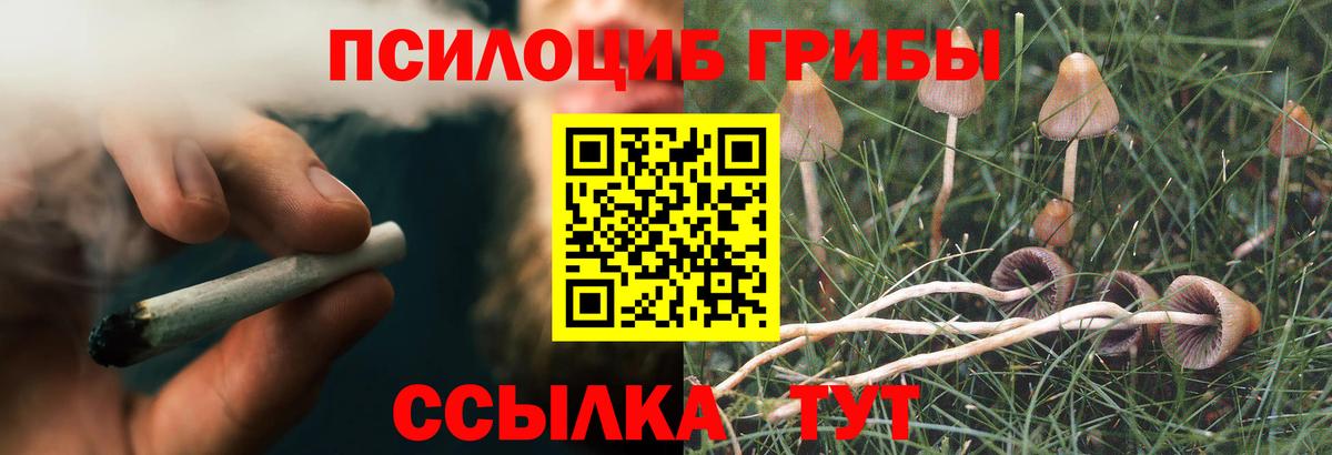 Псилоцибиновые грибы Magic Shrooms Сердобск